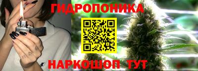 прущие крисы Жуковский