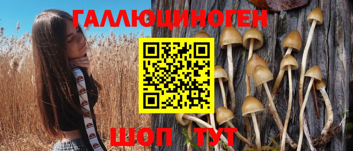 Кумертау  Псилоцибиновые грибы MAGIC MUSHROOMS  Вход с VPN 